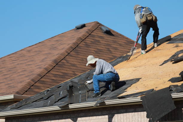 Best Roof Moss and Algae Removal  in Richnd Heights, MO